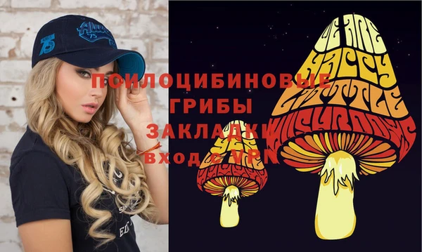 МДПВ Алексеевка