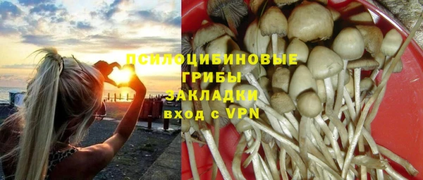 mdpv Алексин