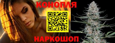 Альфа ПВП Шебекино