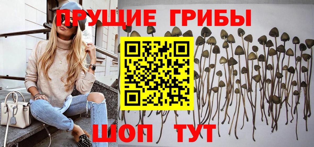 Псилоцибиновые грибы прущие грибы  Вход с VPN  Аргун 