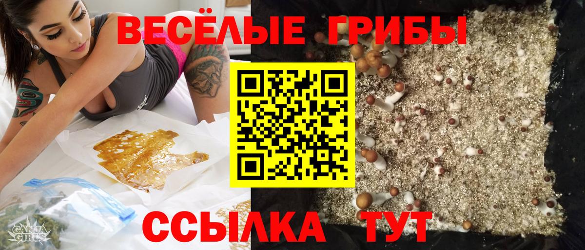 Галлюциногенные грибы Psilocybine cubensis Аргун