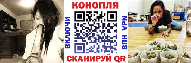 Шишки марихуана гибрид  ОМГ ОМГ   Аргун 